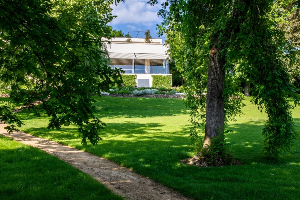 Umělecké pódium: Nálady violy